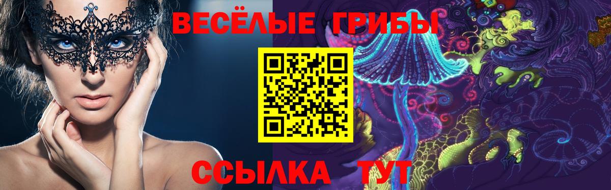 Борисоглебск  Галлюциногенные грибы Cubensis  Вход с VPN 